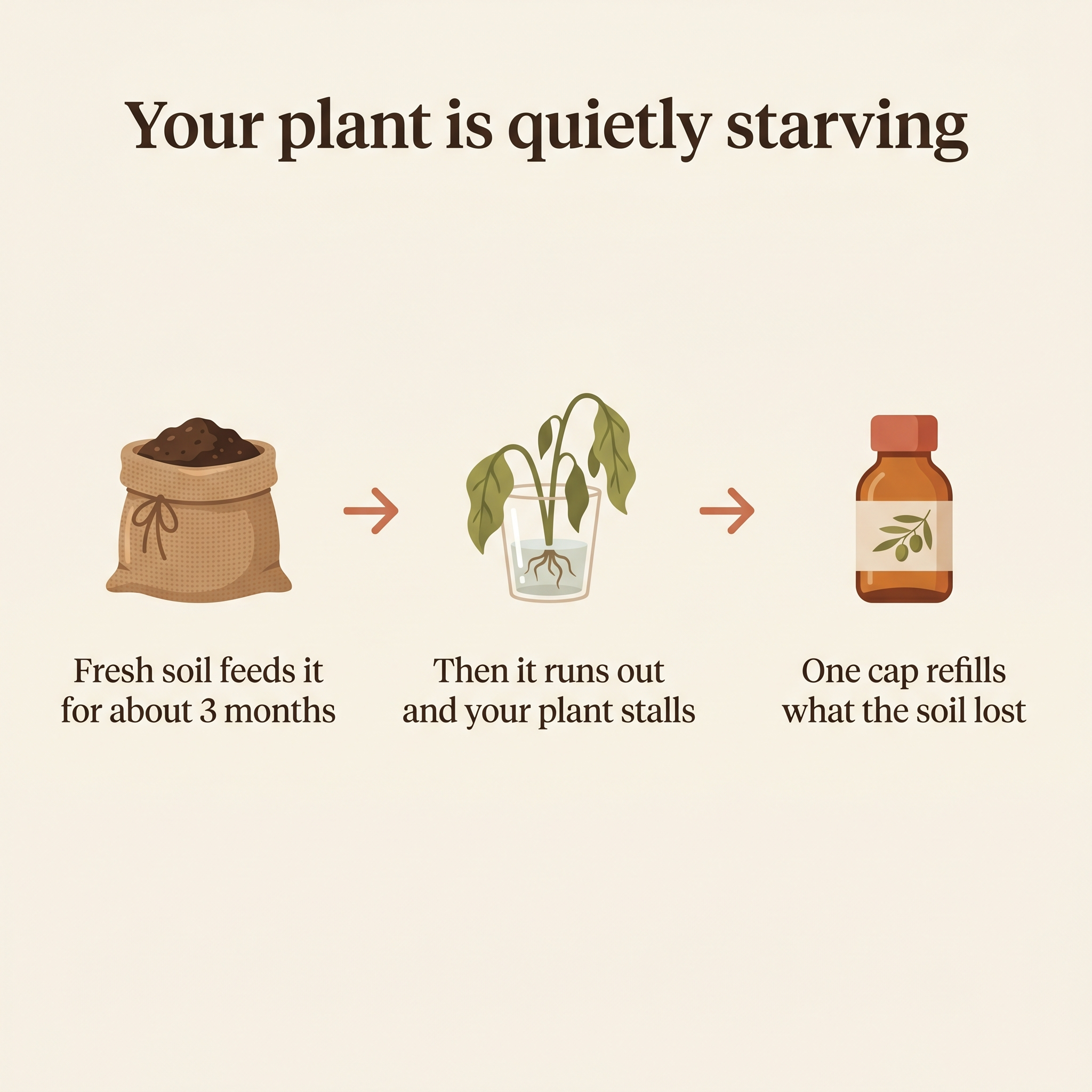 Nonna Rosa's Plant Tonic — Liquid Houseplant Food & Reviver