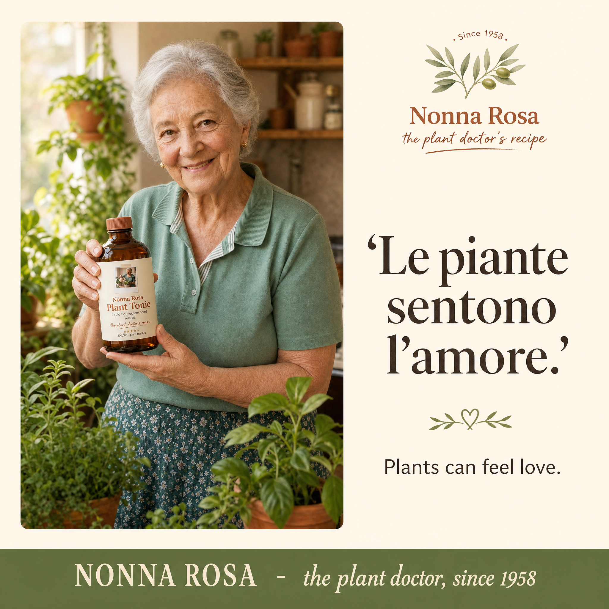 Nonna Rosa's Plant Tonic — Liquid Houseplant Food & Reviver