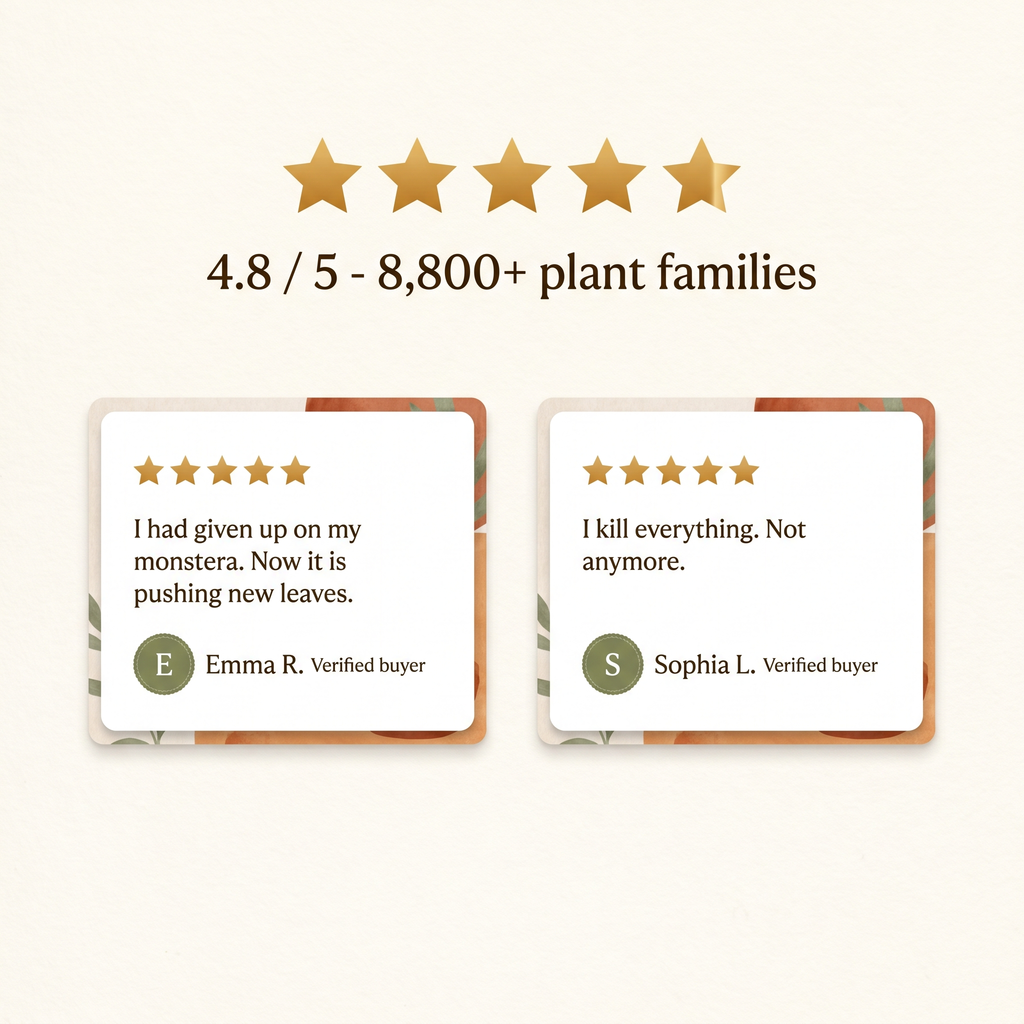 Nonna Rosa's Plant Tonic — Liquid Houseplant Food & Reviver